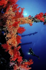 Underwater Sports Equipment Drucke: Diver wreck diving by the Numibia