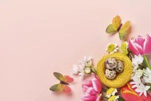 Easter Egg Decorations Drucke: Easter creative composition. Spring flowers