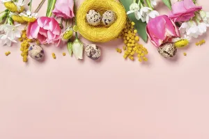 Spring Flowers Background Drucke: Easter creative composition. Spring flowers