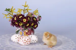 Easter Chick Drucke: Easter setting with chick