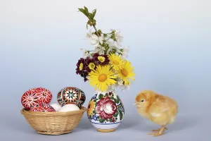 Easter Chick Drucke: Easter setting with chick