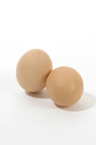 Foodstuff Grocery List Drucke: Eggs