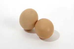 Food Nutrition Drucke: Eggs
