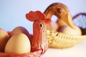 Close Up Eggs Drucke: Eggs in baskets