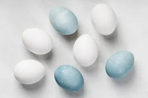 Easter Egg Collection Drucke: Flat lay easter eggs