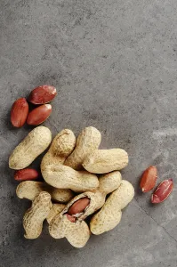 Balanced Diet Food Image Drucke: Flat lay view at peanuts in shell on stone table