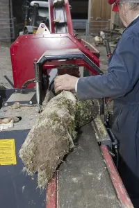 Forestry Worker Drucke: Forestry workers loading timber onto the logging and splitting bench