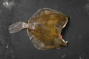 High Angle View Of Raw Food Drucke: Frozen flounder without head on black background