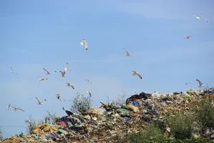 Environmental Pollution Images Drucke: Garbage dump