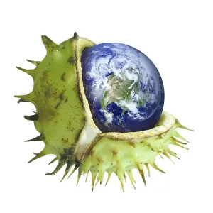 Global Warming Concept Drucke: Globe protected in a broken chestnut shell
