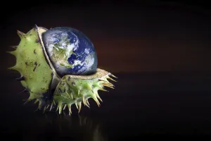 Global Warming Awareness Drucke: Globe protected in a broken chestnut shell