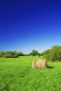 Agricultural Land Photo Drucke: Haystack on a green meadow