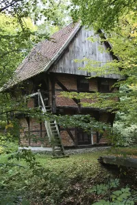 Wooden Footbridge Over Water Drucke: Memory