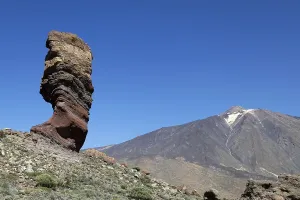 Canary Island Wildlife Drucke: Mount Teide and the Tree