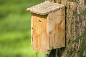 Nesting Aid For Birds Drucke: Nesting box
