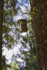 Eco Friendly Bird Feeder Drucke: A nesting box hangs on a large tree in spring forest