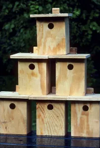 Passerine Breeding Season Drucke: Nesting boxes for titmice, titmouse box
