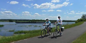 Radweg bei Kustrin