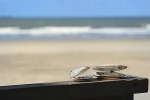 The Netherlands Shoreline Drucke: Open shells at the beach