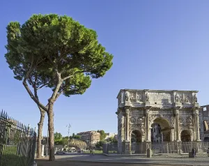Unesco World Heritage Site Rome Italy Drucke: Pine tree and Arch of Constantine
