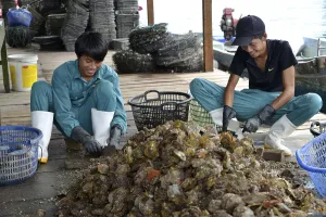 Vietnamese Rural Landscape Drucke: Processing, shells, pearl farm