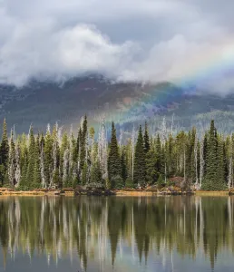 United States Nature Landscapes Drucke: Rainbow in clouds over a forest