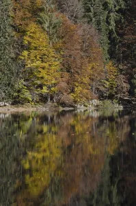 Water Body Reflections Drucke: Reflection