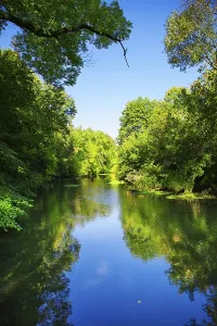 Serene Forest Landscape Drucke: River in forest