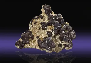 Bird Of Prey Studio Shot Drucke: Sphalerite with Siderite, Eagle Mine