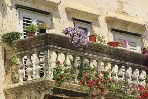 Ornamental Plant Close Up Drucke: Split balcony, split balcony