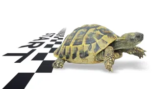 No People Wildlife Habitat Drucke: Get started from the start line