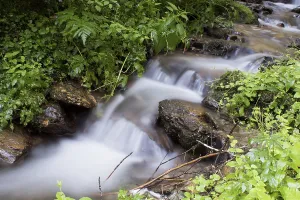 Long Exposure River Photography Drucke: Stream (rivulus)