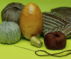 Bird Wildlife Photography Tips Drucke: Stuffing egg