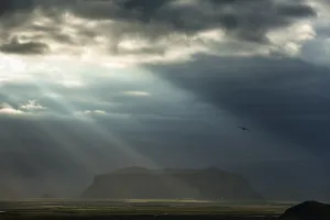 Bird In Wild Nature Drucke: Sun rays shining through clouds