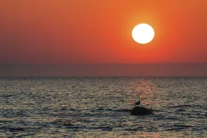 Deserted Evening Beach Drucke: Sunset on the Baltic coast