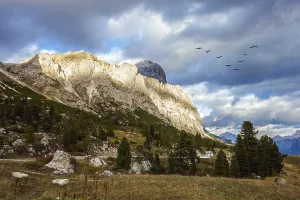South Tyrol Scenic Views Drucke: Triangular flock of migratory birds