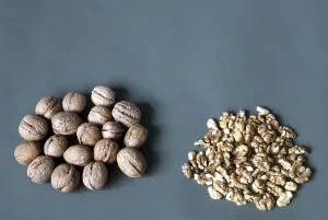 Dried Fruit Nutrition Drucke: Walnuts with hard shell and Kernel