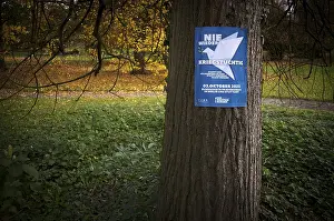 Freedom Of Expression Image Drucke: Poster on a tree trunk, call for a demonstration against war