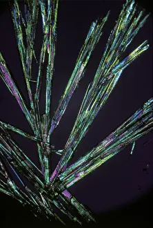 Polarisiertes Licht Drucke: Kaliumphosphat im polarisierten Licht Kristallmikrostruktur LM-Mikrogramm