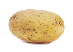 Studio Shot Vegetable Drucke: Potato on a white background