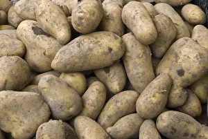 Full Frame Vegetable Photography Drucke: Potatoes