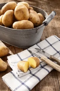 Botany Still Life Photos Drucke: Potatoes