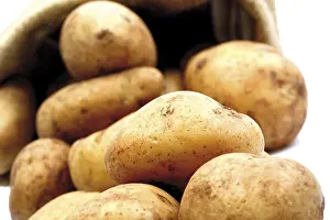 Solanaceae Family Vegetables Drucke: Potatoes, Filea breed