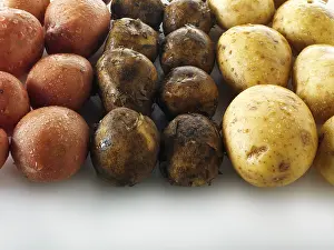 Raw Food Photography Drucke: Potatoes, three varieties