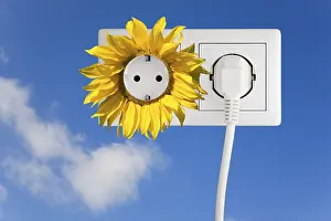 Ecological Conservation Image Drucke: Power socket on a sunflower against blue sky