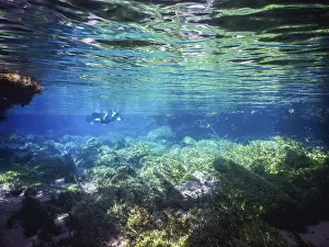 Drucke von Tauchen und Schnorcheln üben, mysteriöse Lagune, schöne Lagune mit transparentem türkisblauem Wasser, gelegen in der Stadt Bonito, Mato Grosso do Sul, Brasilien Bonito Drucke: Tauchen und Schnorcheln üben.