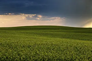 Canada Weather Forecast Drucke: Prairie Storm Clouds Canada Saskatchewan Dramatic Summer