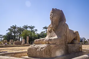 Ancient Egyptian Statues Drucke: Detail of the precious Sphinx of Memphis in Cairo