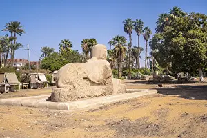 Egyptian Historical Landmark Drucke: The precious Sphinx of Memphis in Cairo