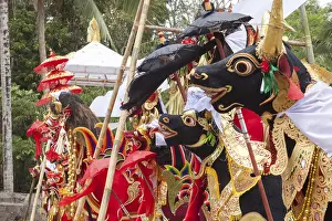 Bali Travel Photography Drucke: Preparing for a corpse cremation